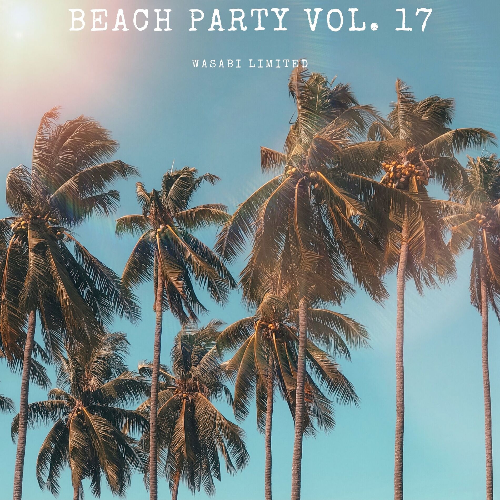 Album cover of Beach Party Vol. 17