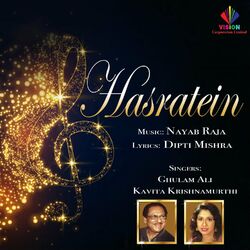 Cover of Hasratein