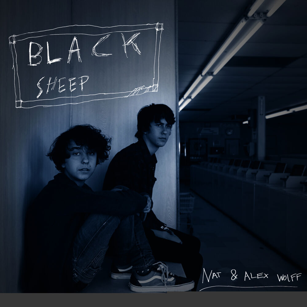 Picture of Black Sheep