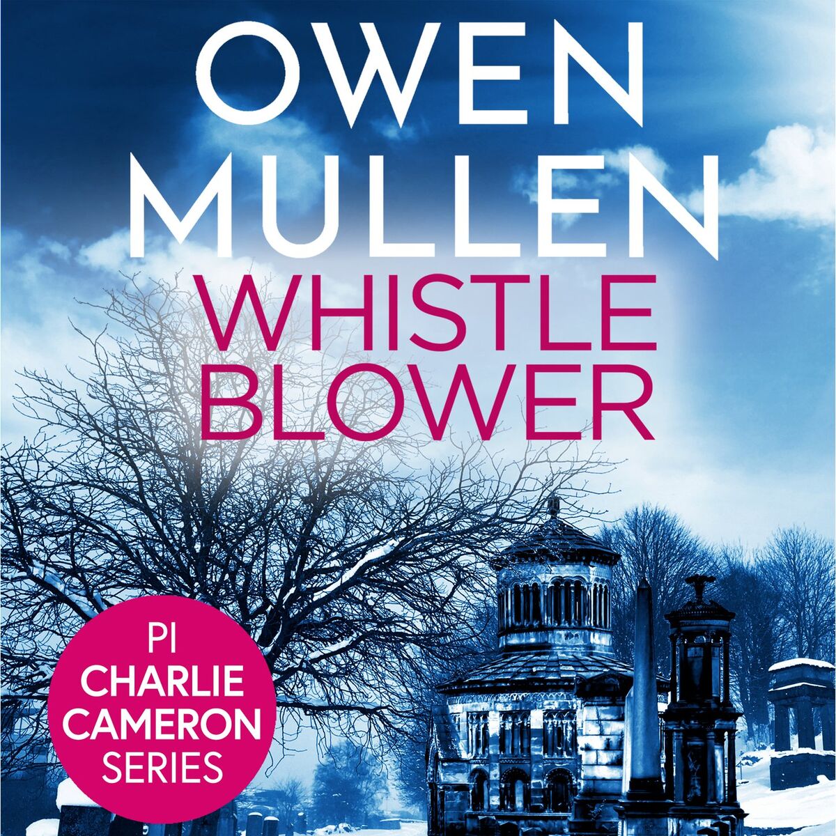 Album cover of Whistleblower - PI Charlie Cameron, Book 3 (Unabridged)