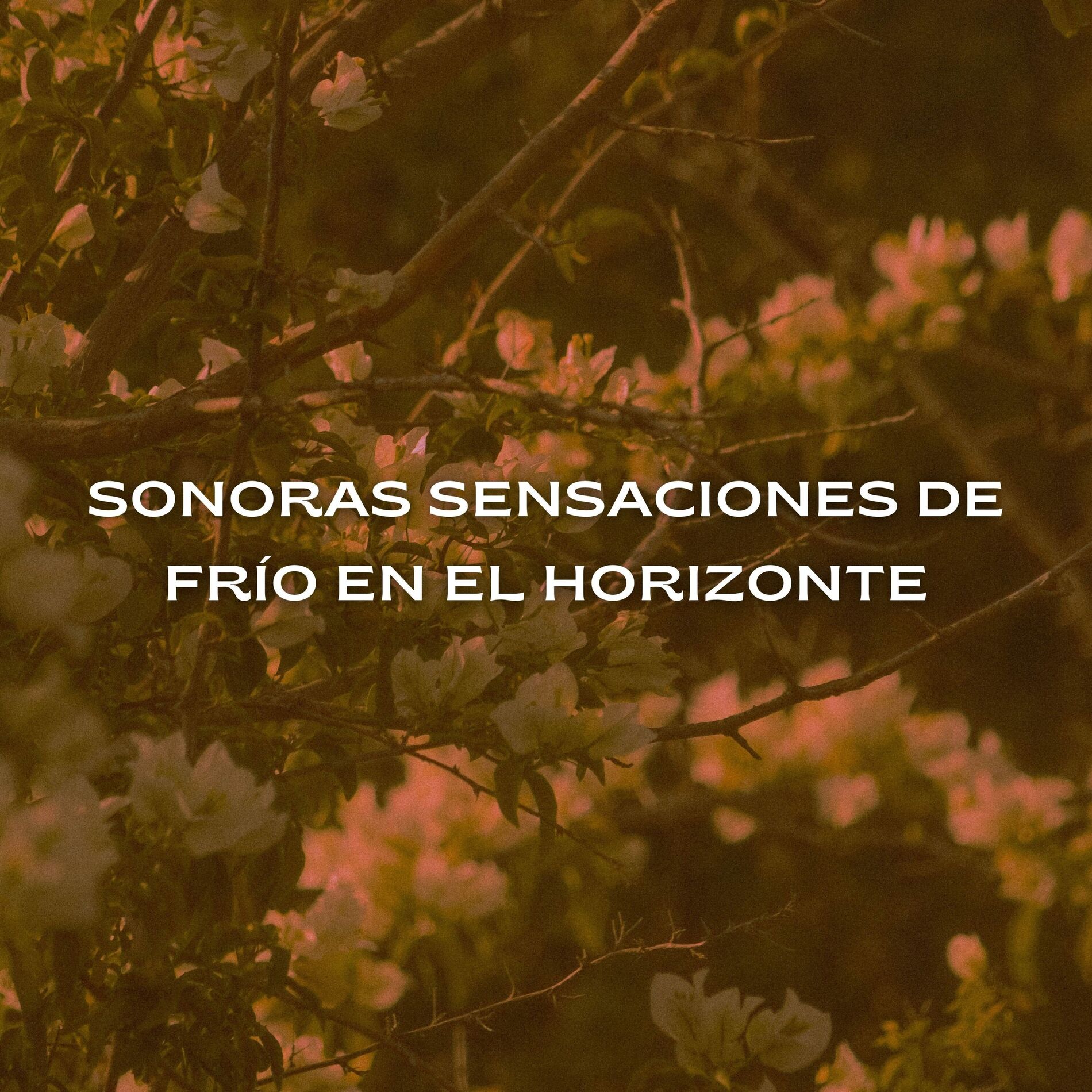 Album cover of Sonoras Sensaciones De Frío En El Horizonte