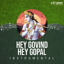 Cover of Hey Govind Hey Gopal (Instrumental)