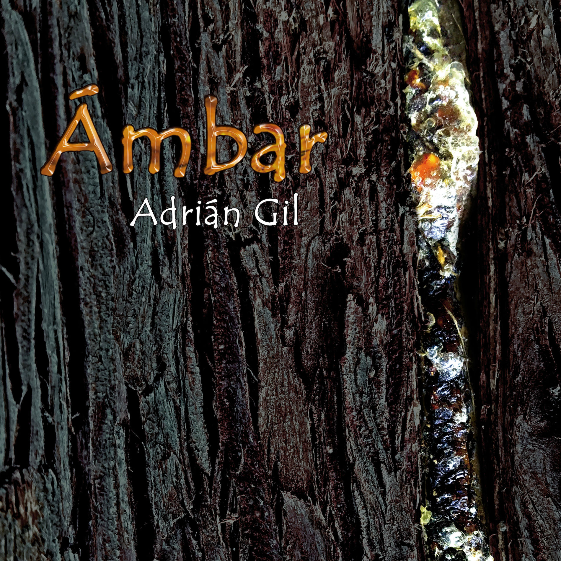 Album cover of Ámbar