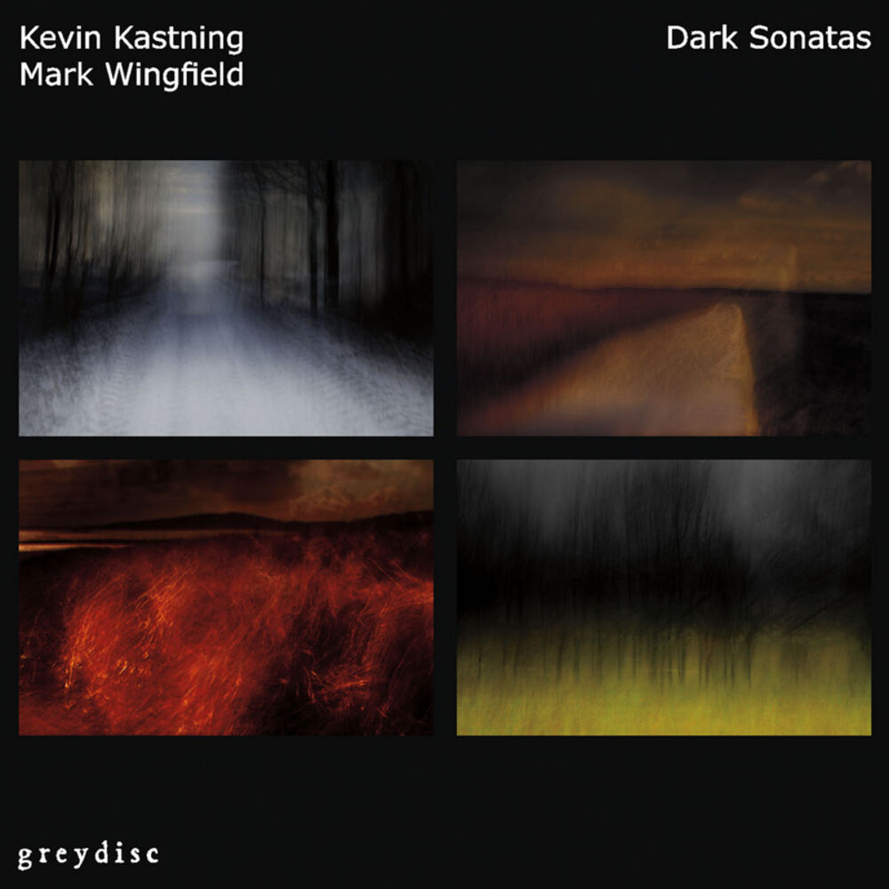 Picture of Dark Sonatas