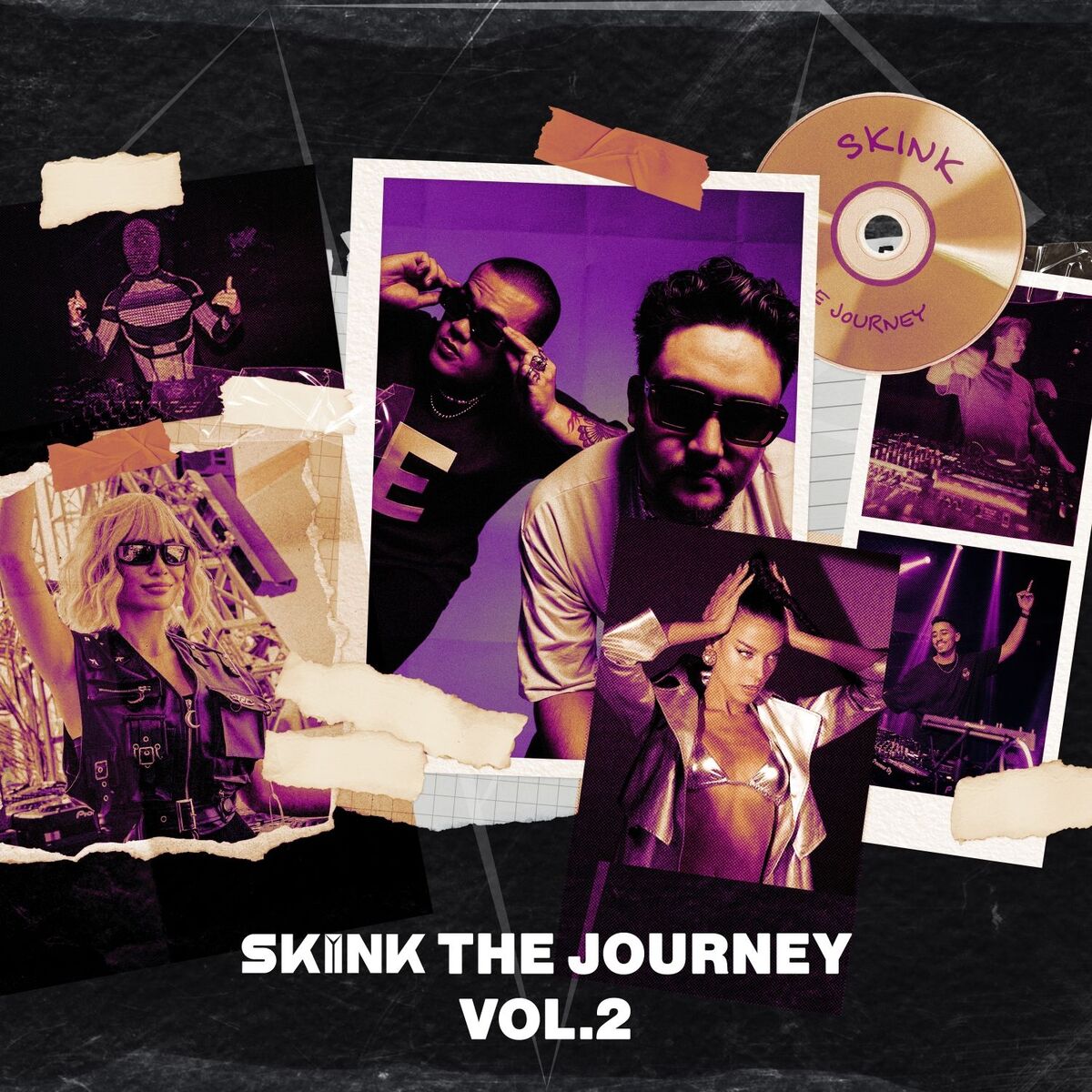 Album cover of SKINK: The Journey, vol. 2