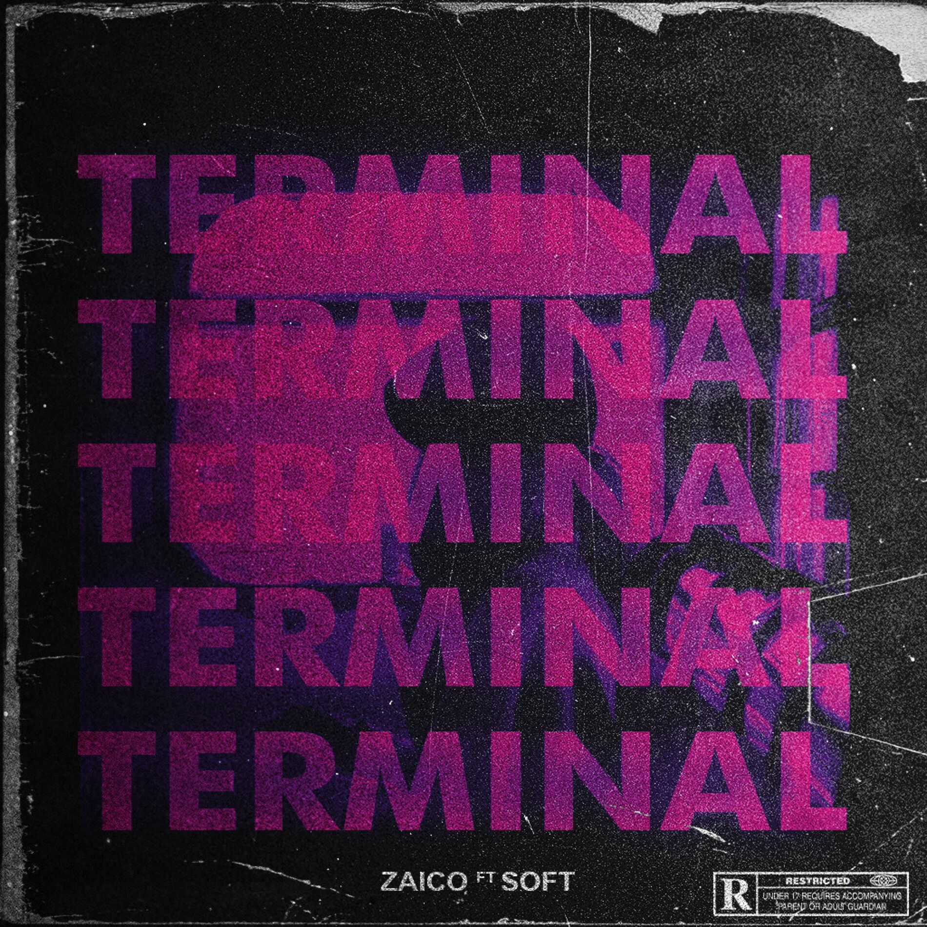 Album cover of terminal (feat. soft)