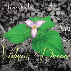 Cover of Vishnu's Dream