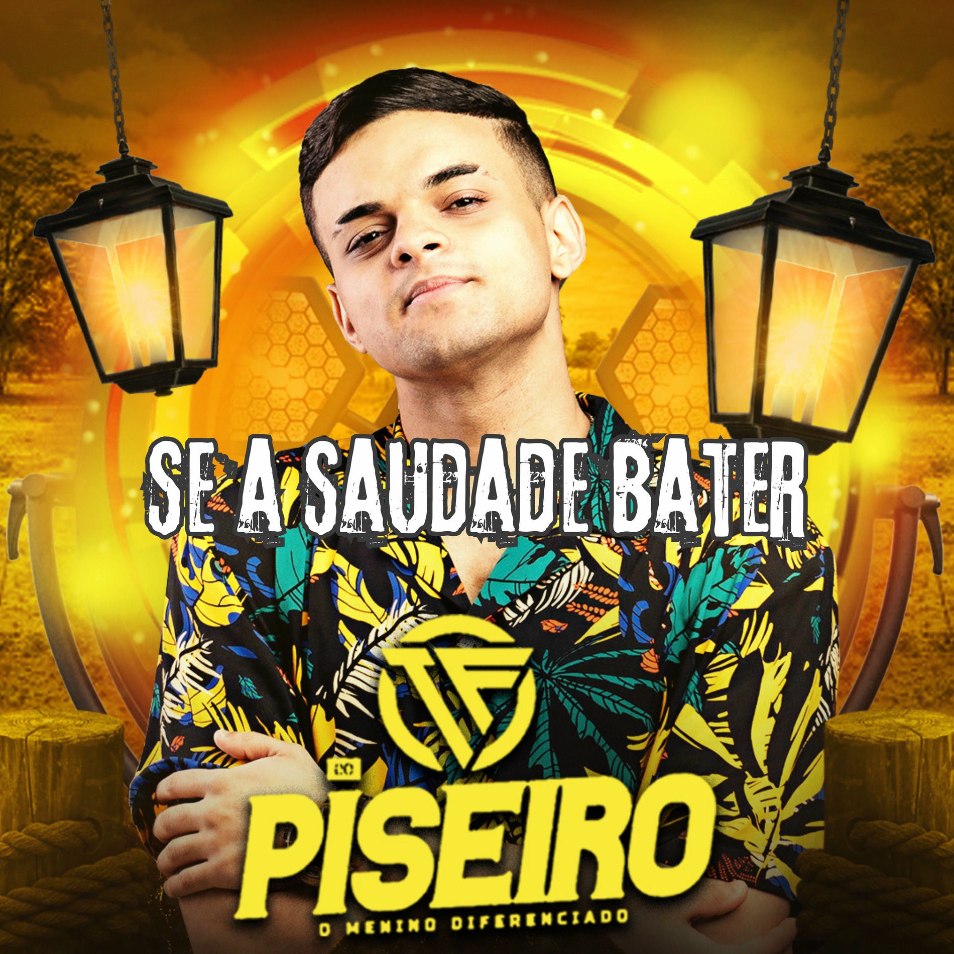 Album cover of Se a Saudade Bater