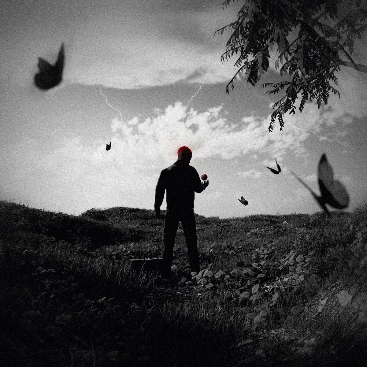Album cover of Avant-gardiste