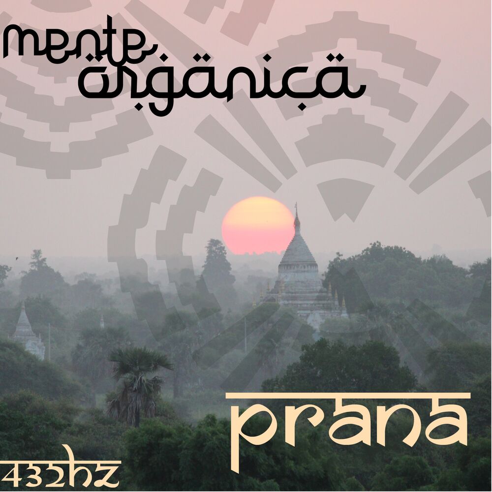 Picture of Prana