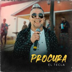 Cover of Procura
