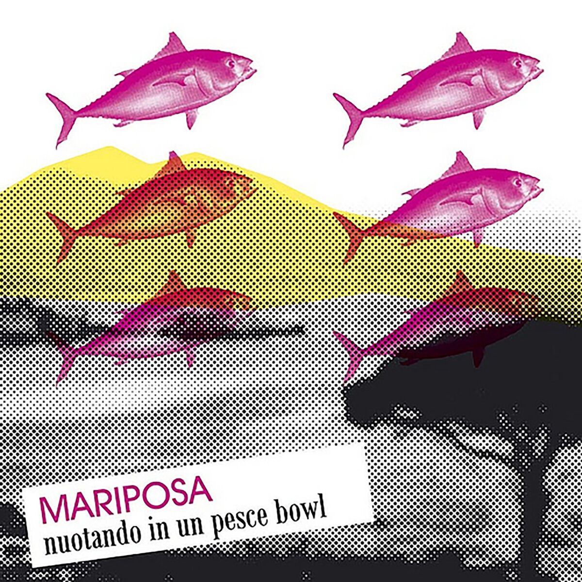 Album cover of Nuotando in Un Pesce Bowl