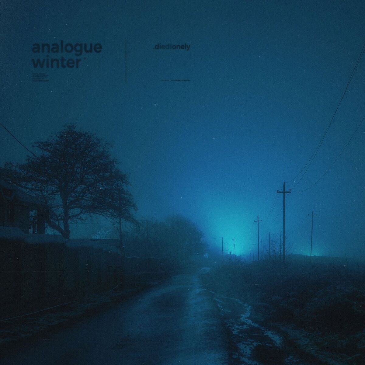 Album cover of analogue winter