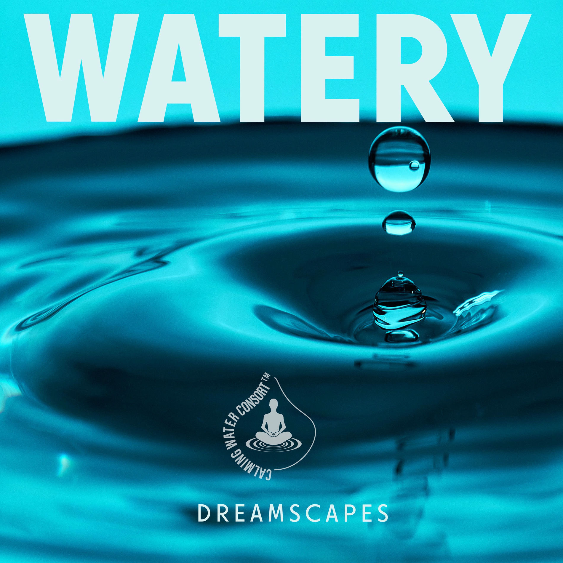 Album cover of Watery Dreamscapes: Peaceful Instrumentals with Water Sounds for Deep Sleep and Immersive Relaxation