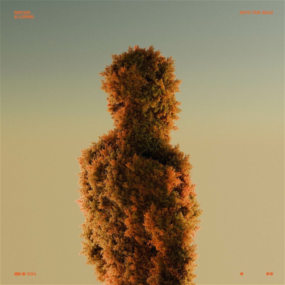 Album cover of Into The Wild