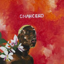 music cover