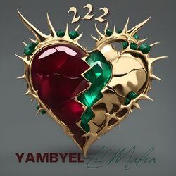 Cover of 222