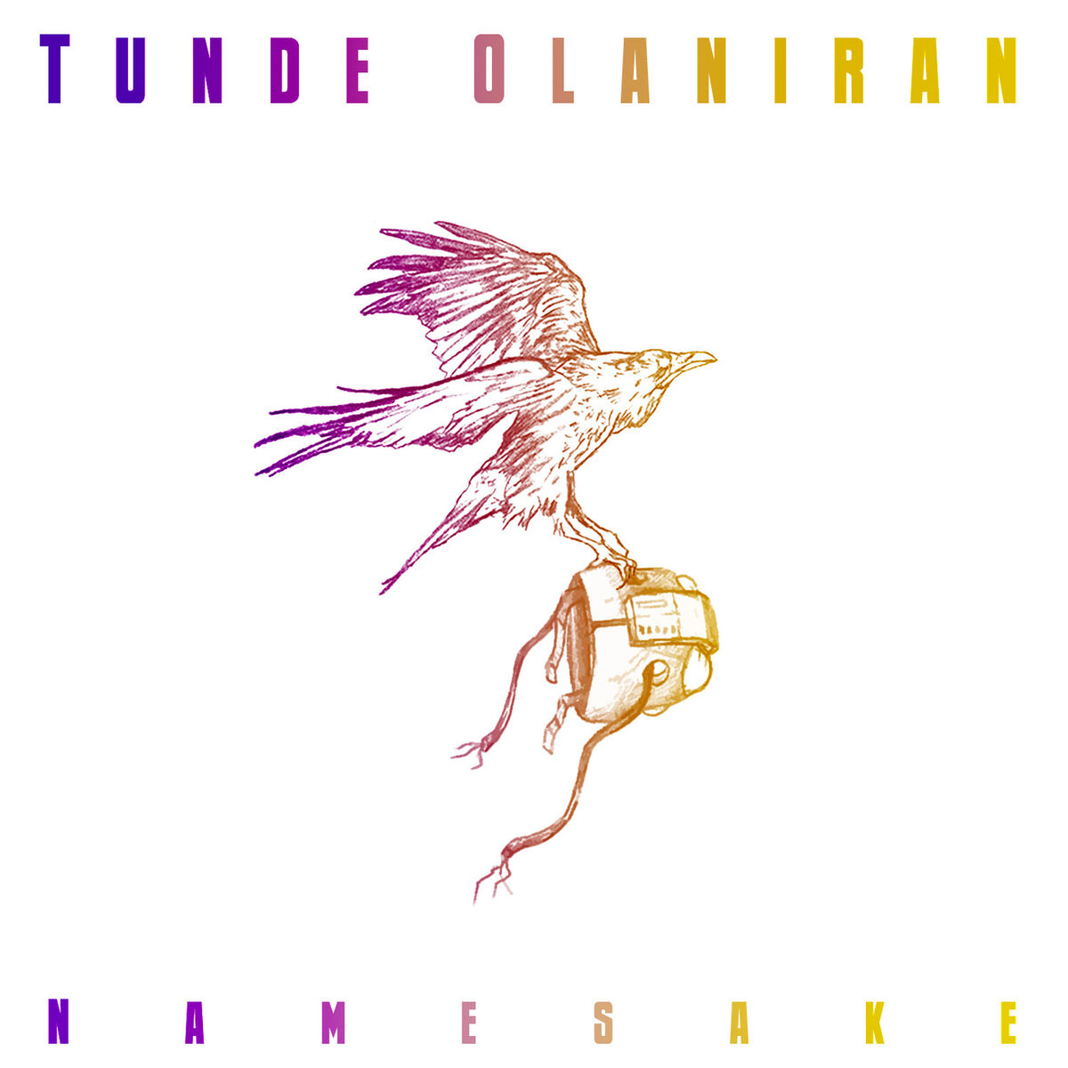 Album cover of Namesake