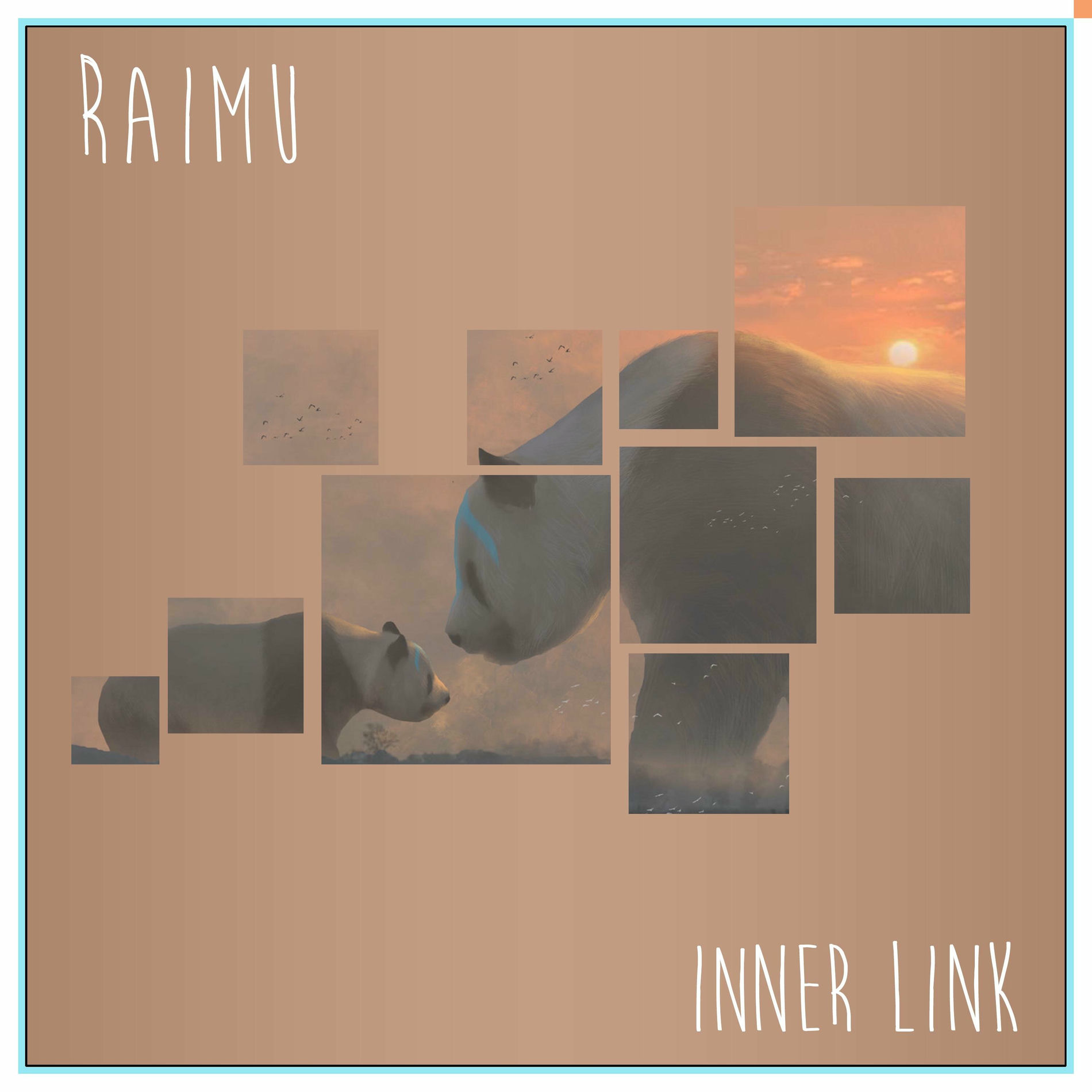 Album cover of Inner Link