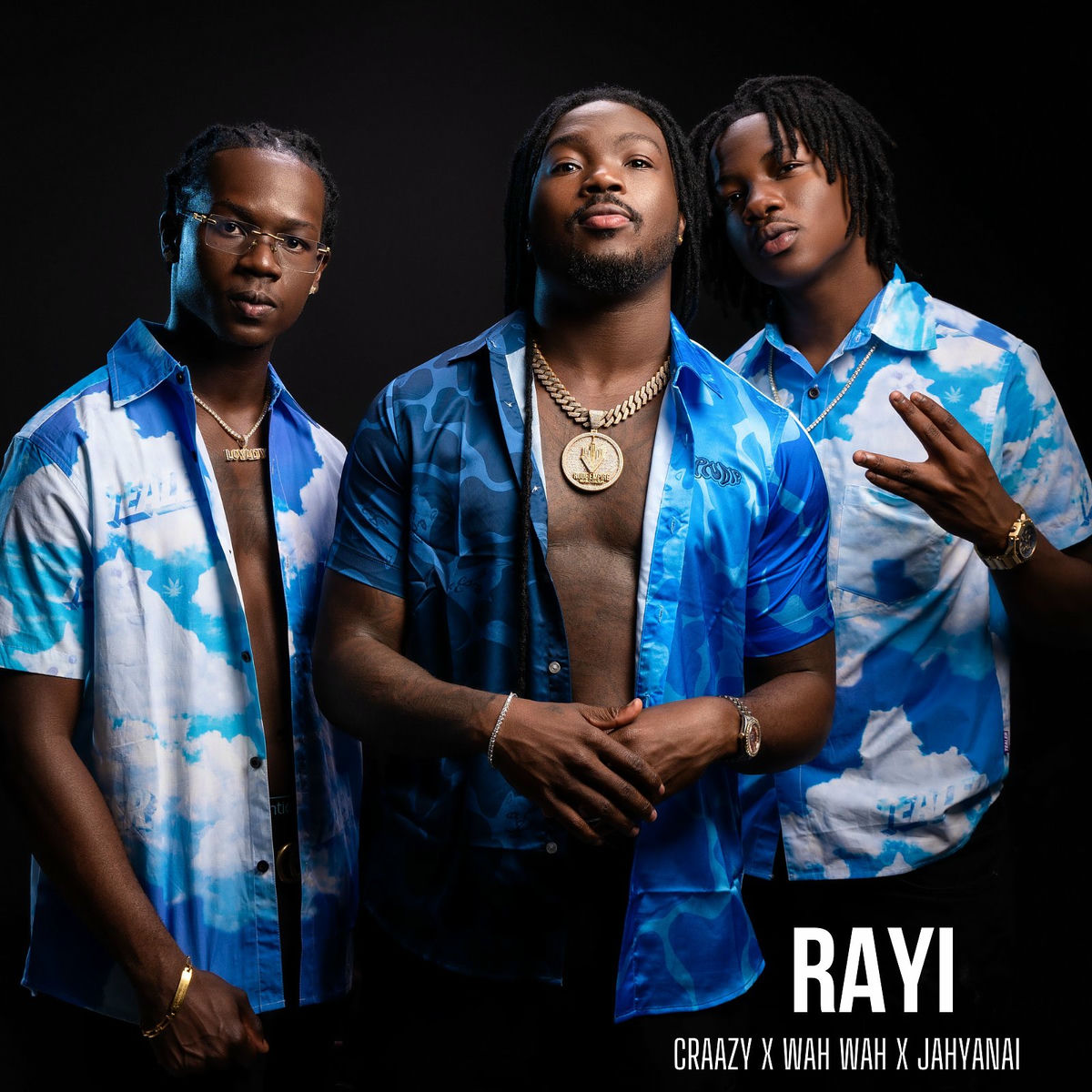 Album cover of Rayi