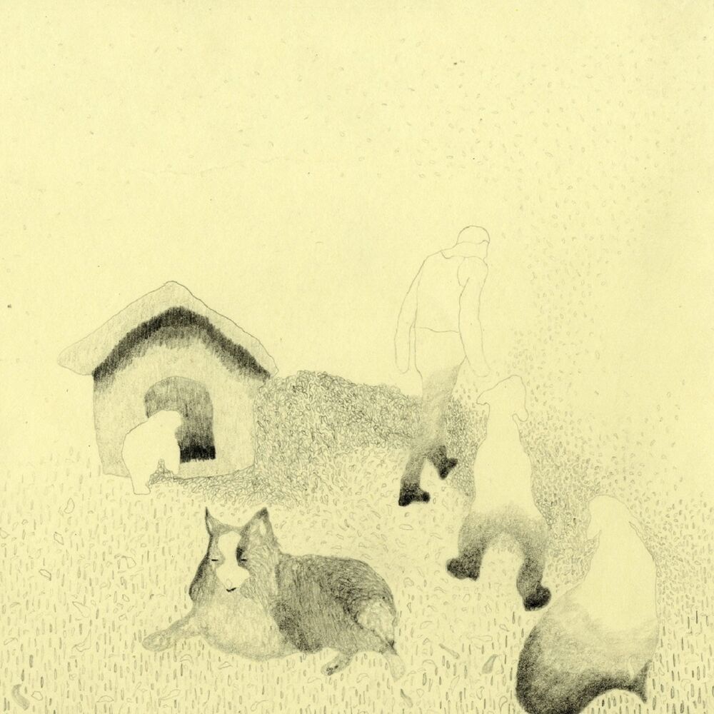 Picture of Raptada
