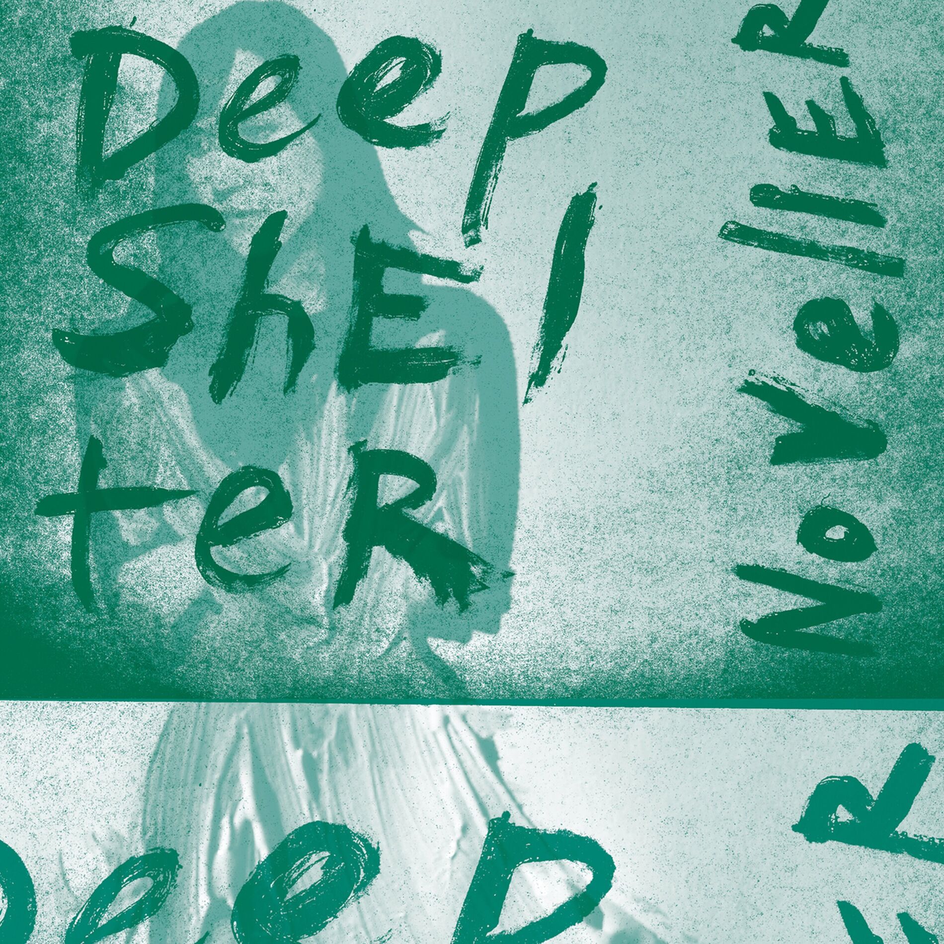 Album cover of Deep Shelter
