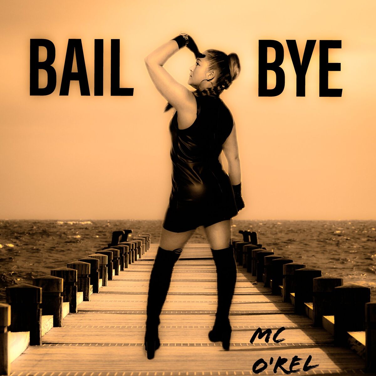 Album cover of Bail Bye