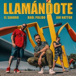 Cover of Llamándote