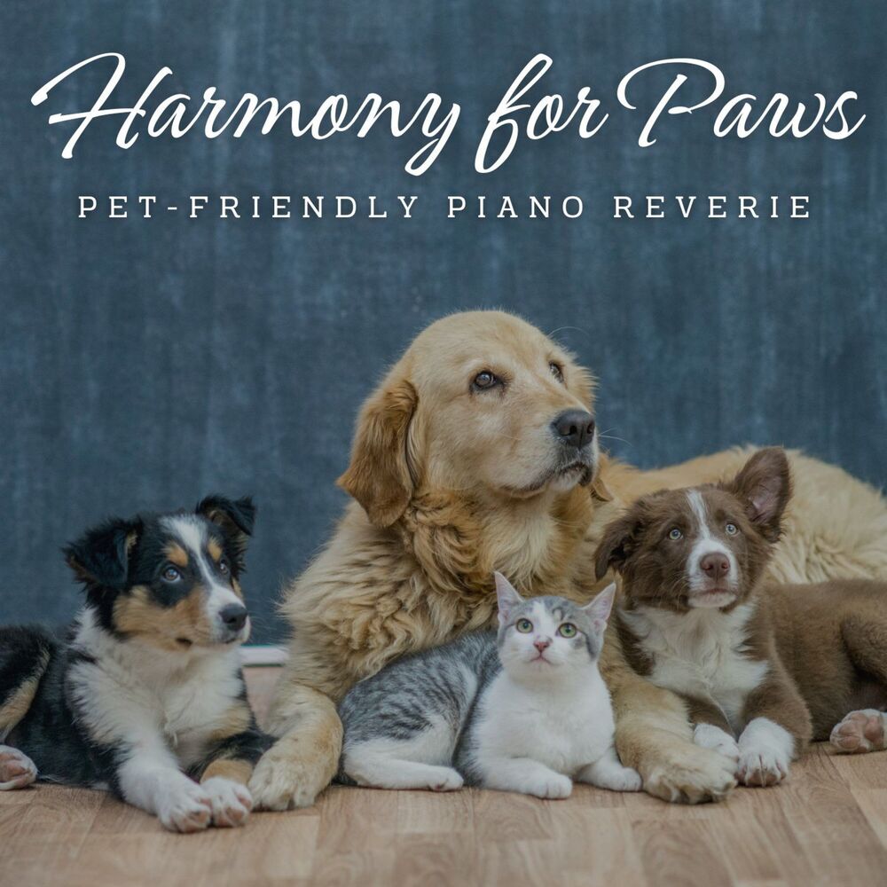 Picture of Harmony for Paws: Pet-Friendly Piano Reverie