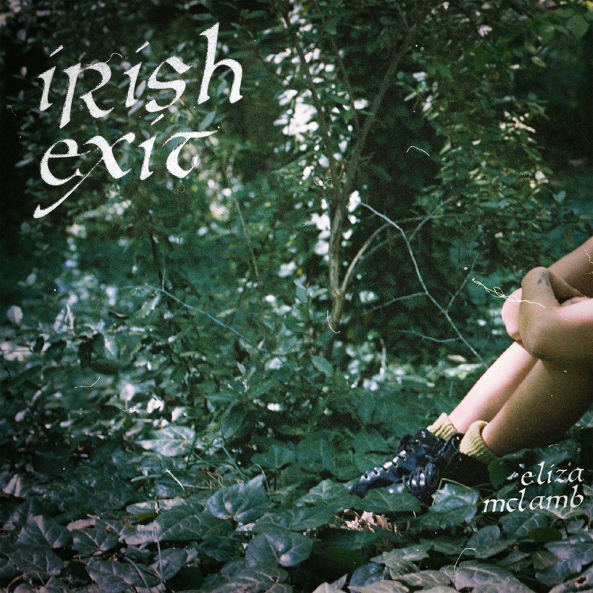 Album cover of Irish Exit