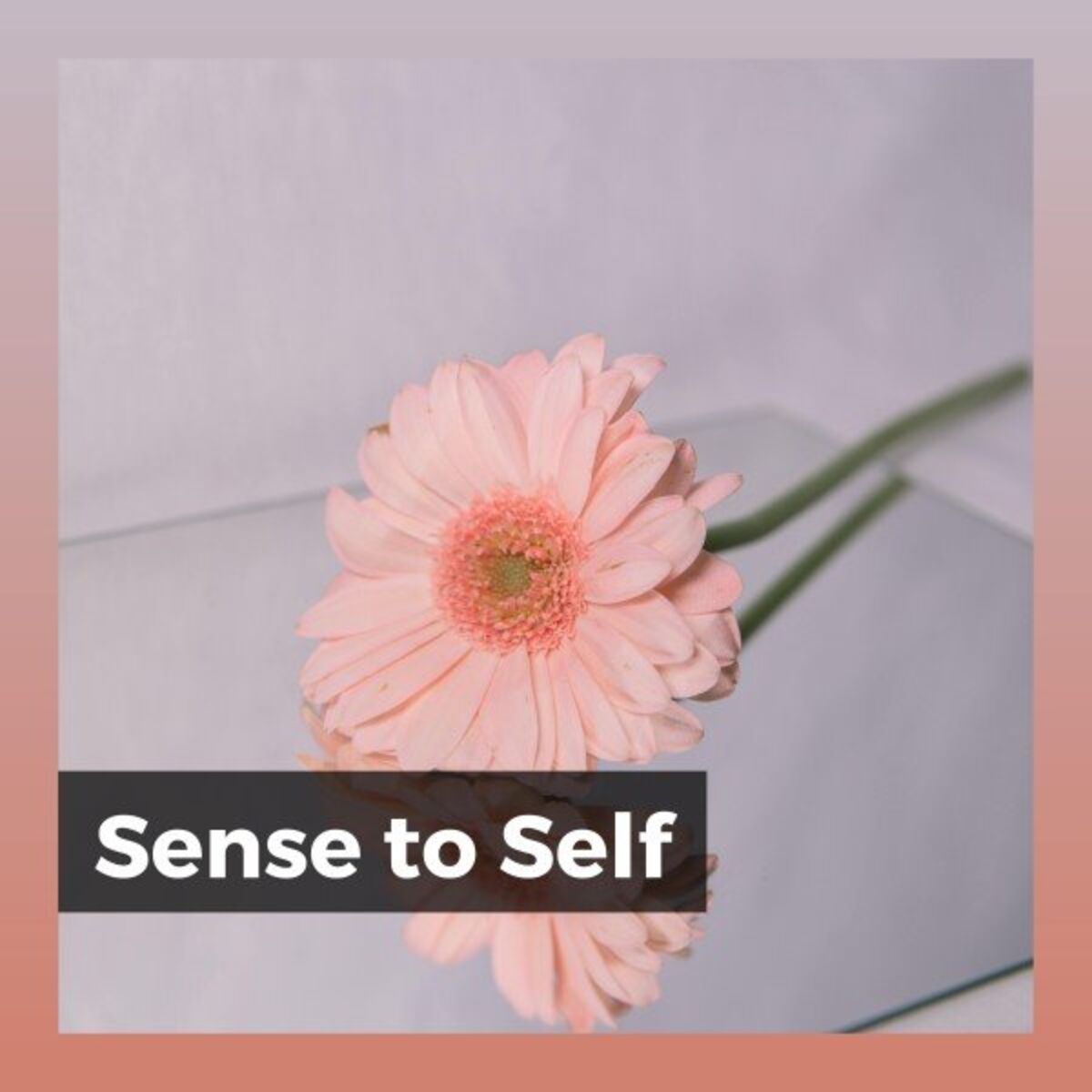 Album cover of Sense to Self
