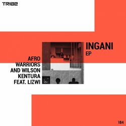 Cover of Ingani