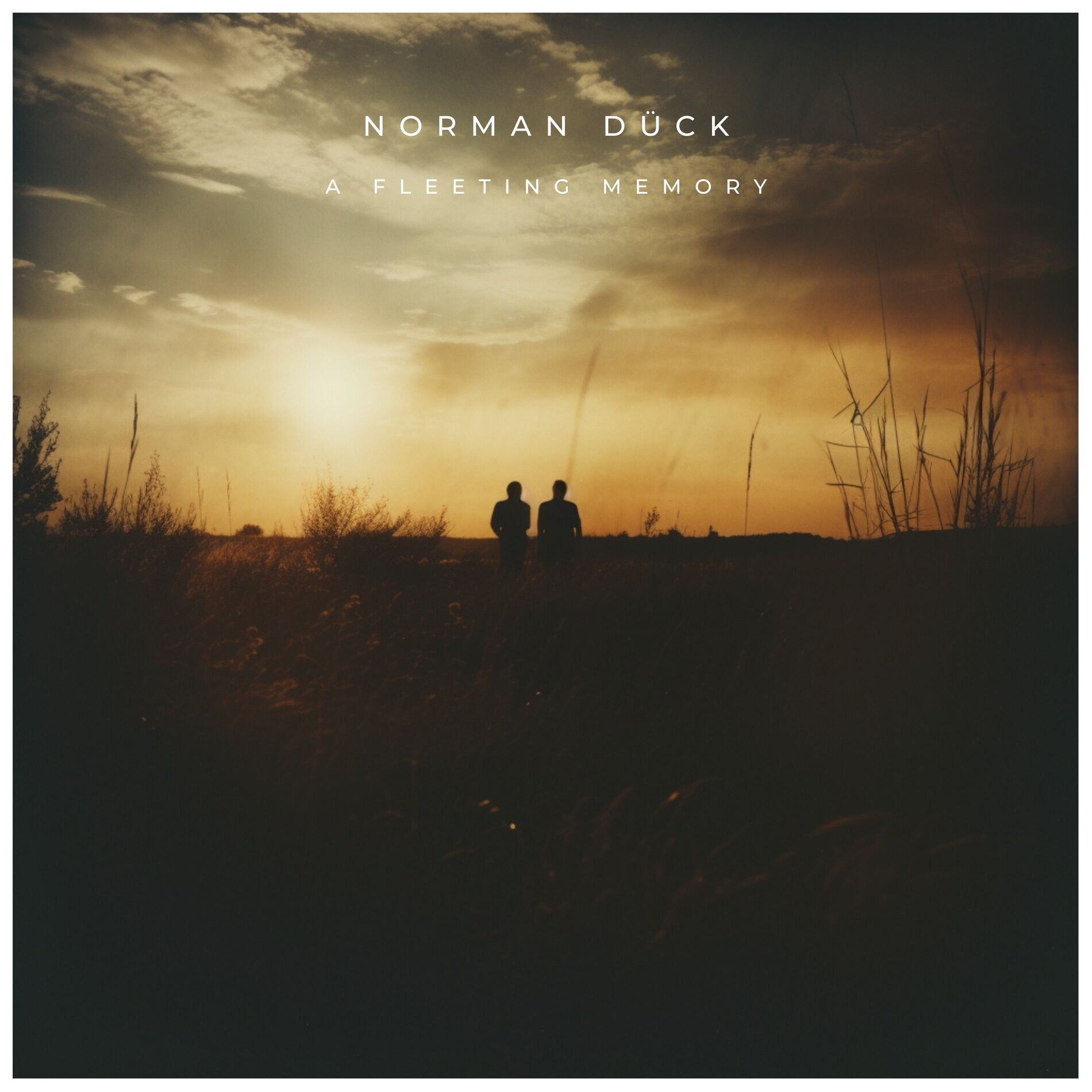 Album cover of A Fleeting Memory