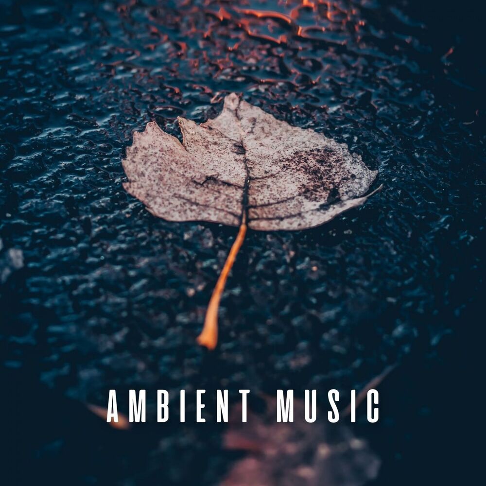 Picture of Ambient Music: Chill Rain Serenade for a Healing Massage