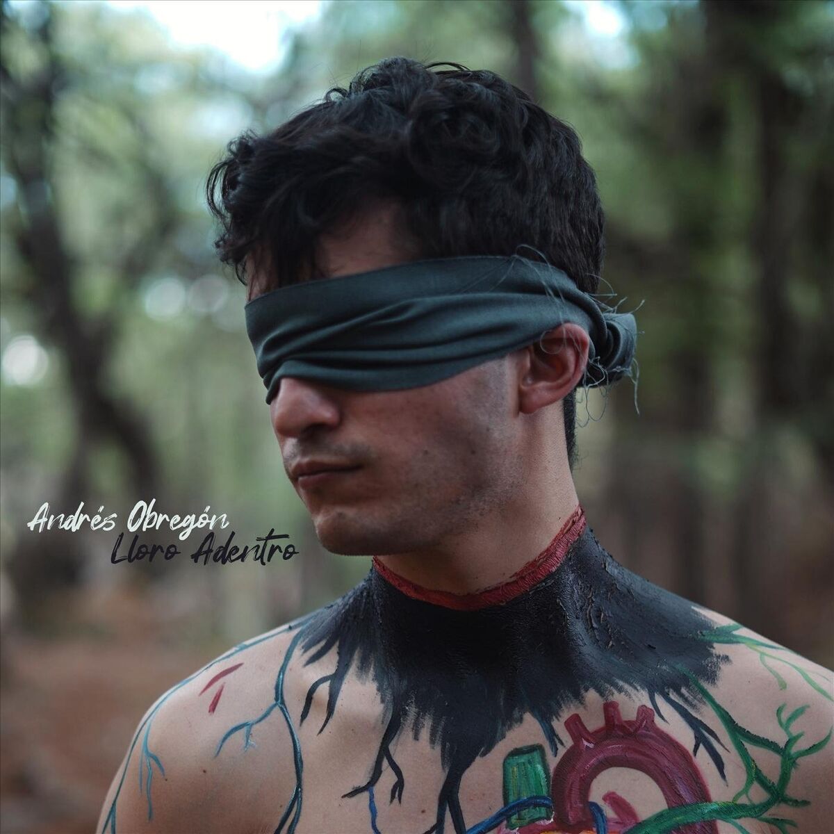 Album cover of Lloro Adentro