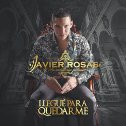 Cover of Llegué Para Quedarme
