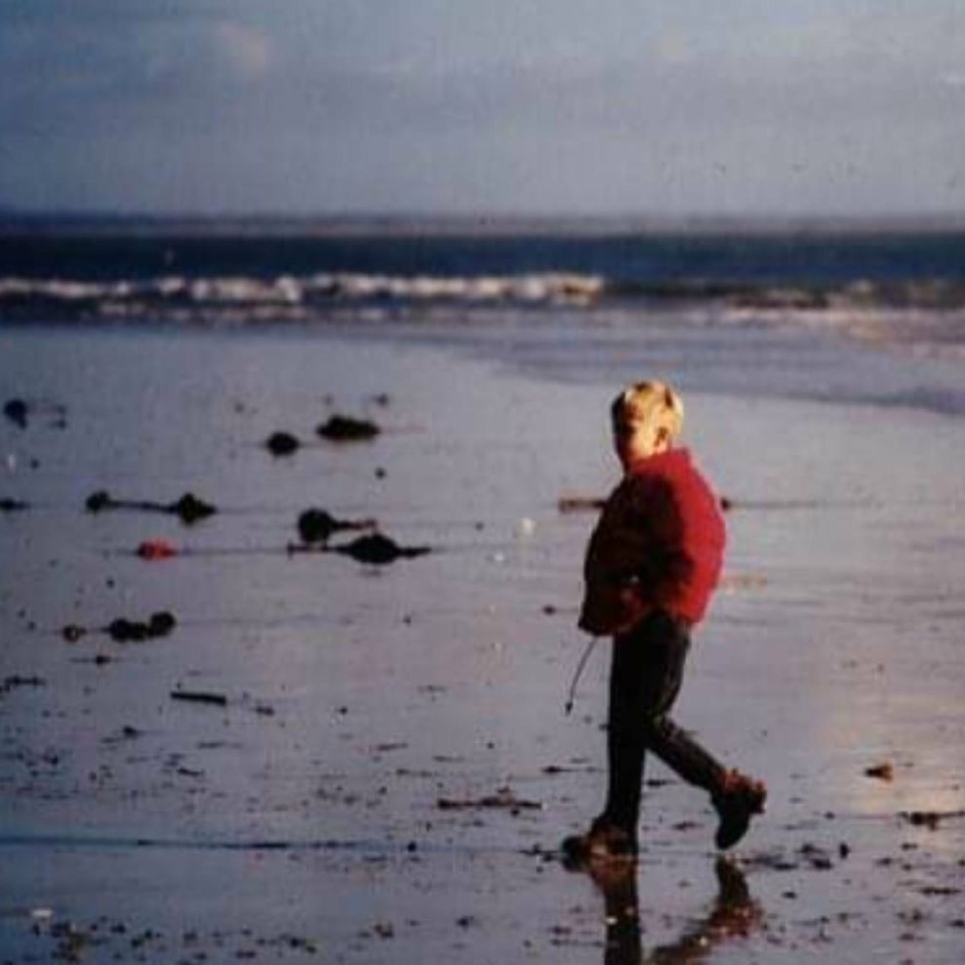 Album cover of LYDV (album)