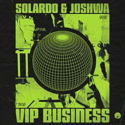 Cover of VIP Business