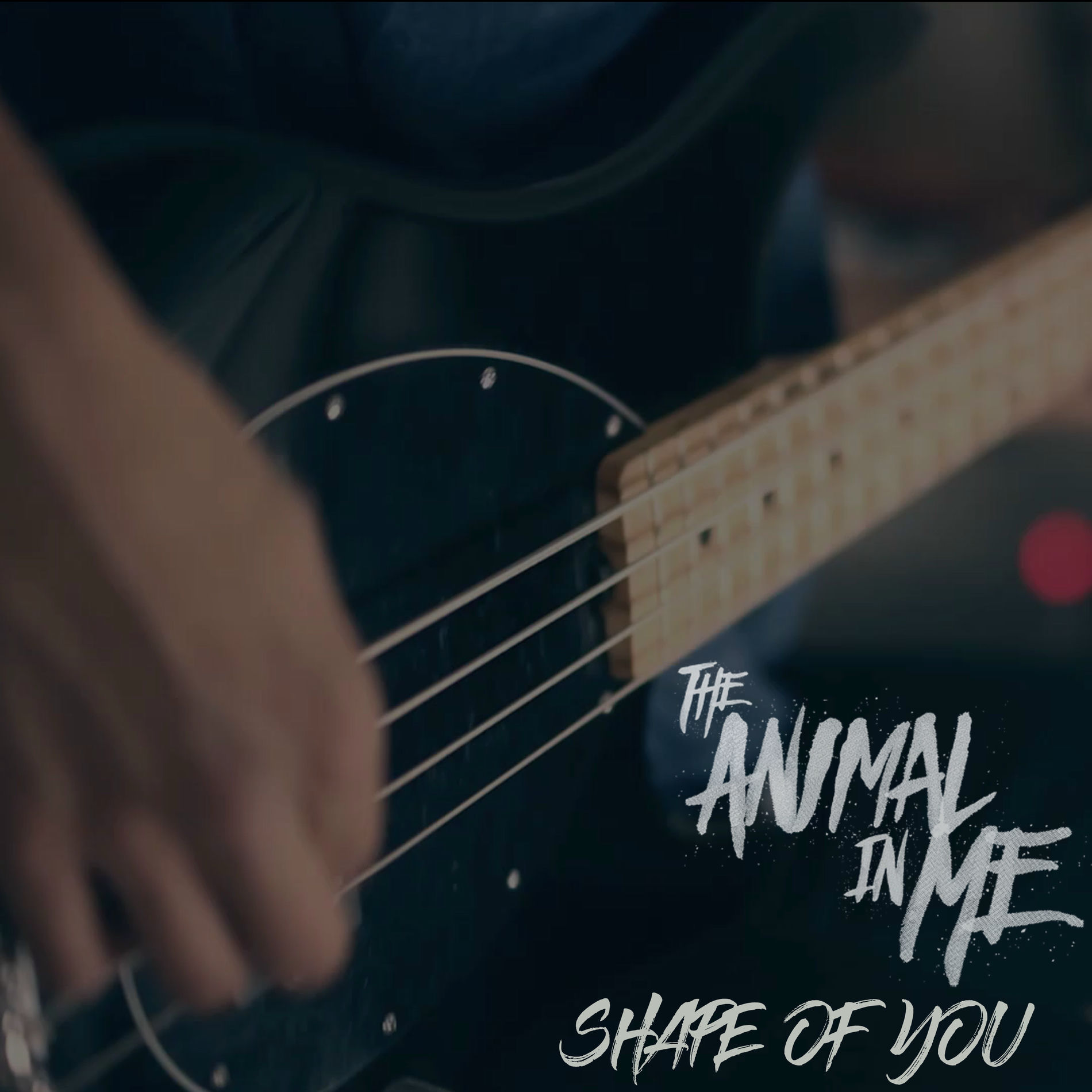 Album cover of Shape of You