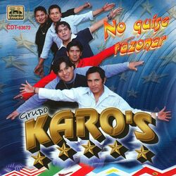 Cover of No Quise Razonar