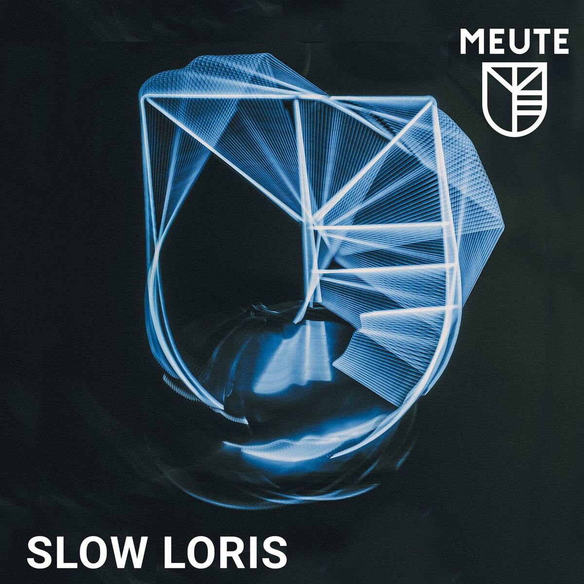Album cover of Slow Loris
