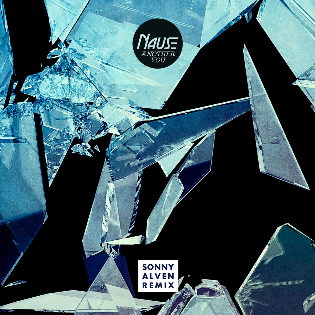 Album cover of Another You