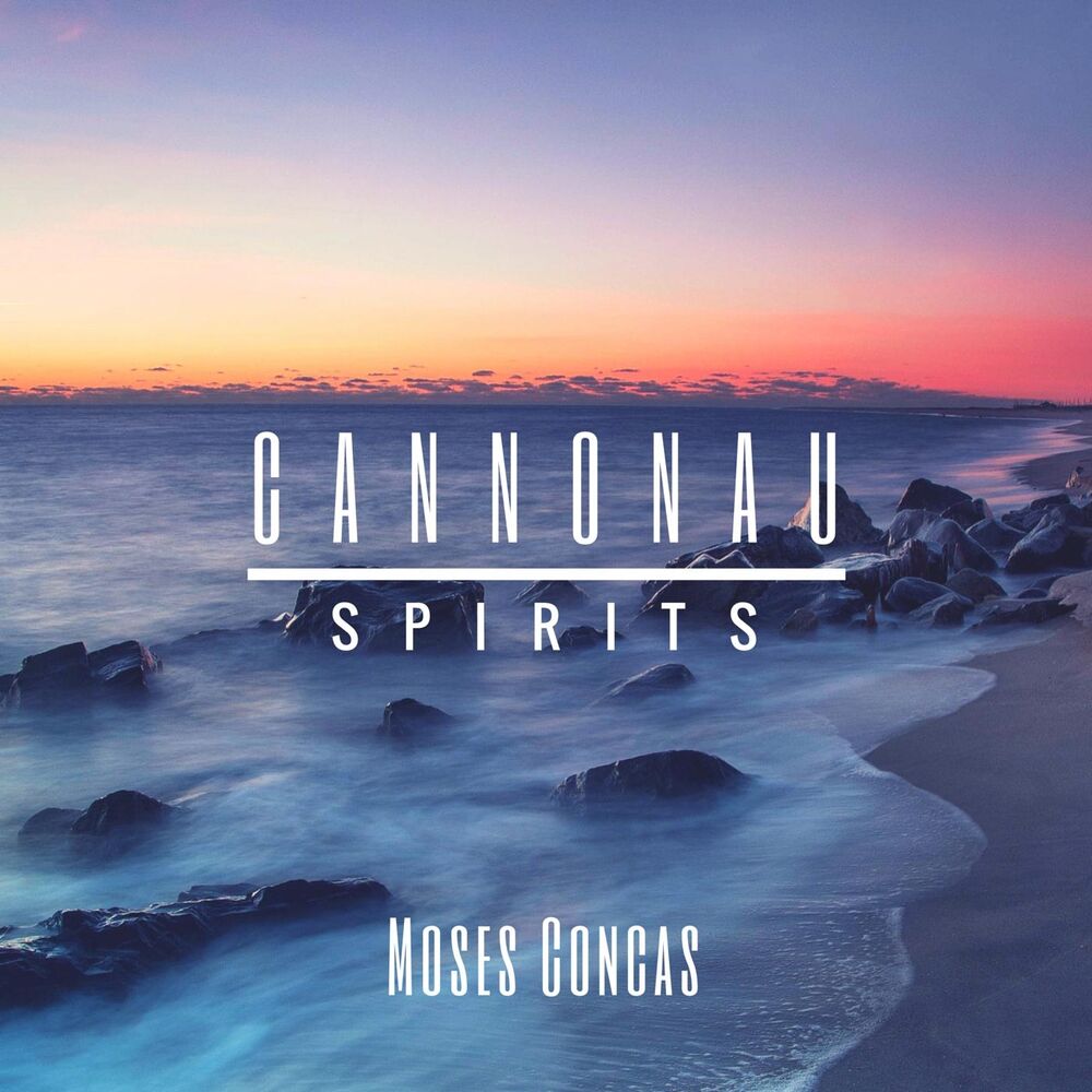 Picture of Cannonau Spirits