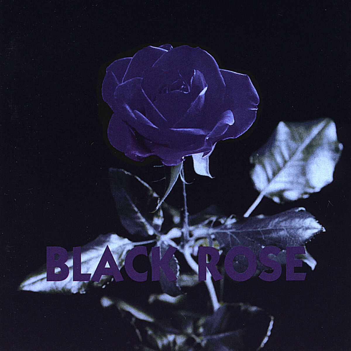 Album cover of Rainbow in your eyes