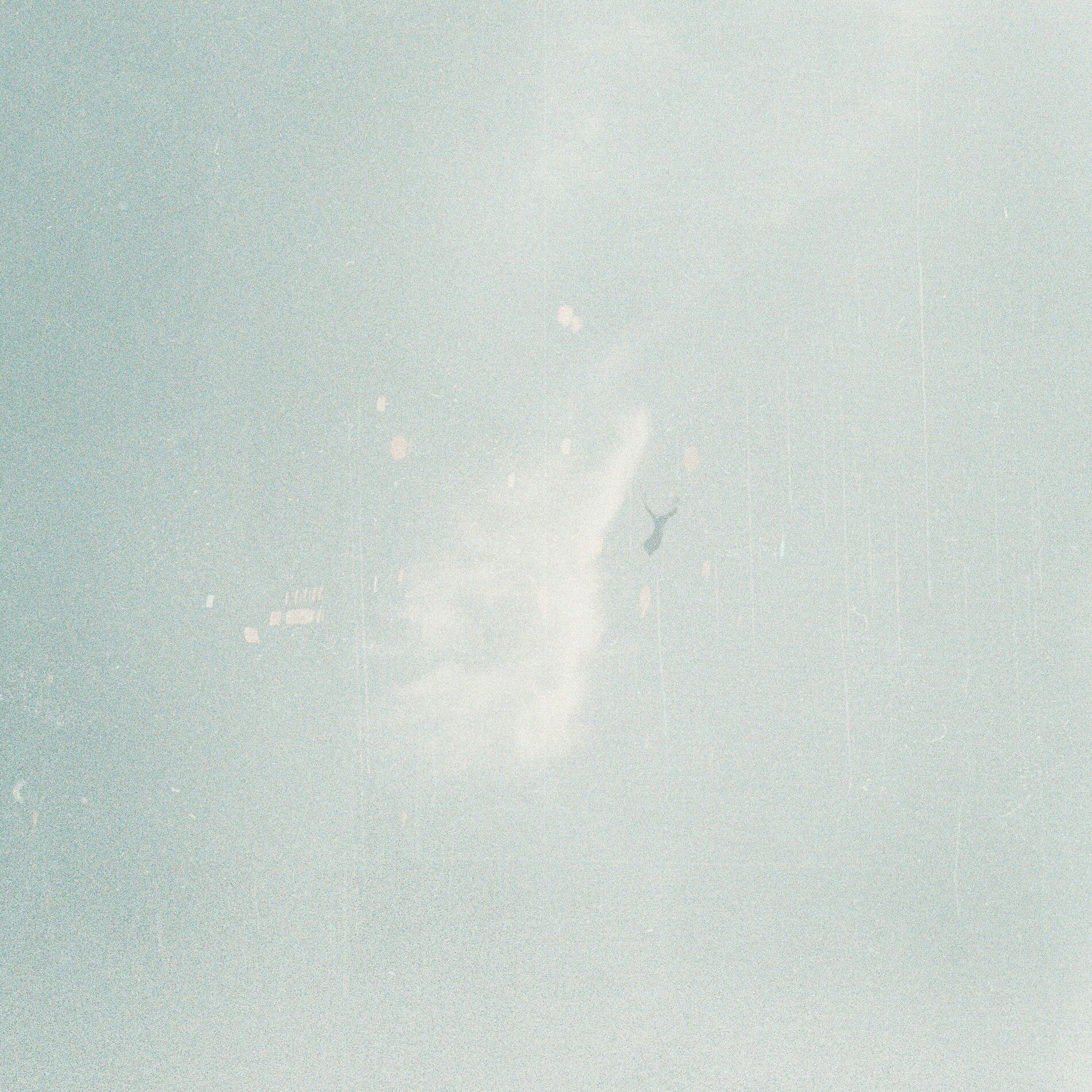 Album cover of Bluebird