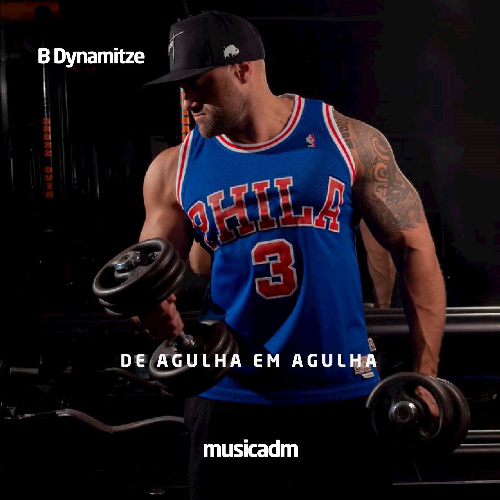 Album cover of De Agulha em Agulha