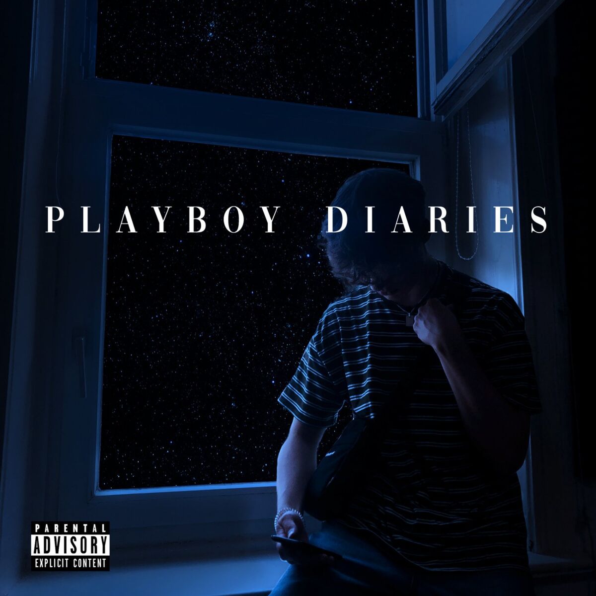 Album cover of Playboy Diaries