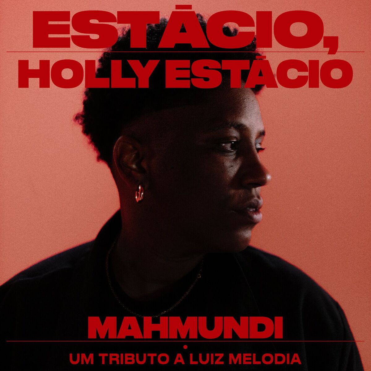 Album cover of Estácio, Holly Estácio