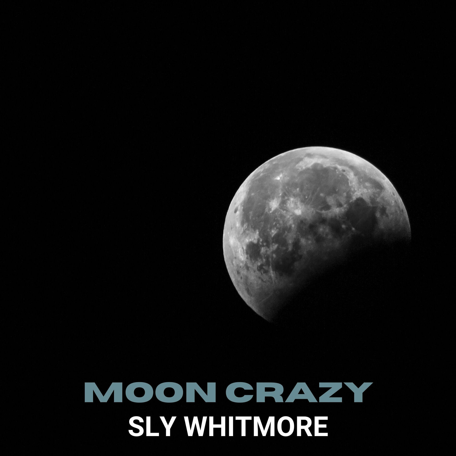 Album cover of Moon Crazy