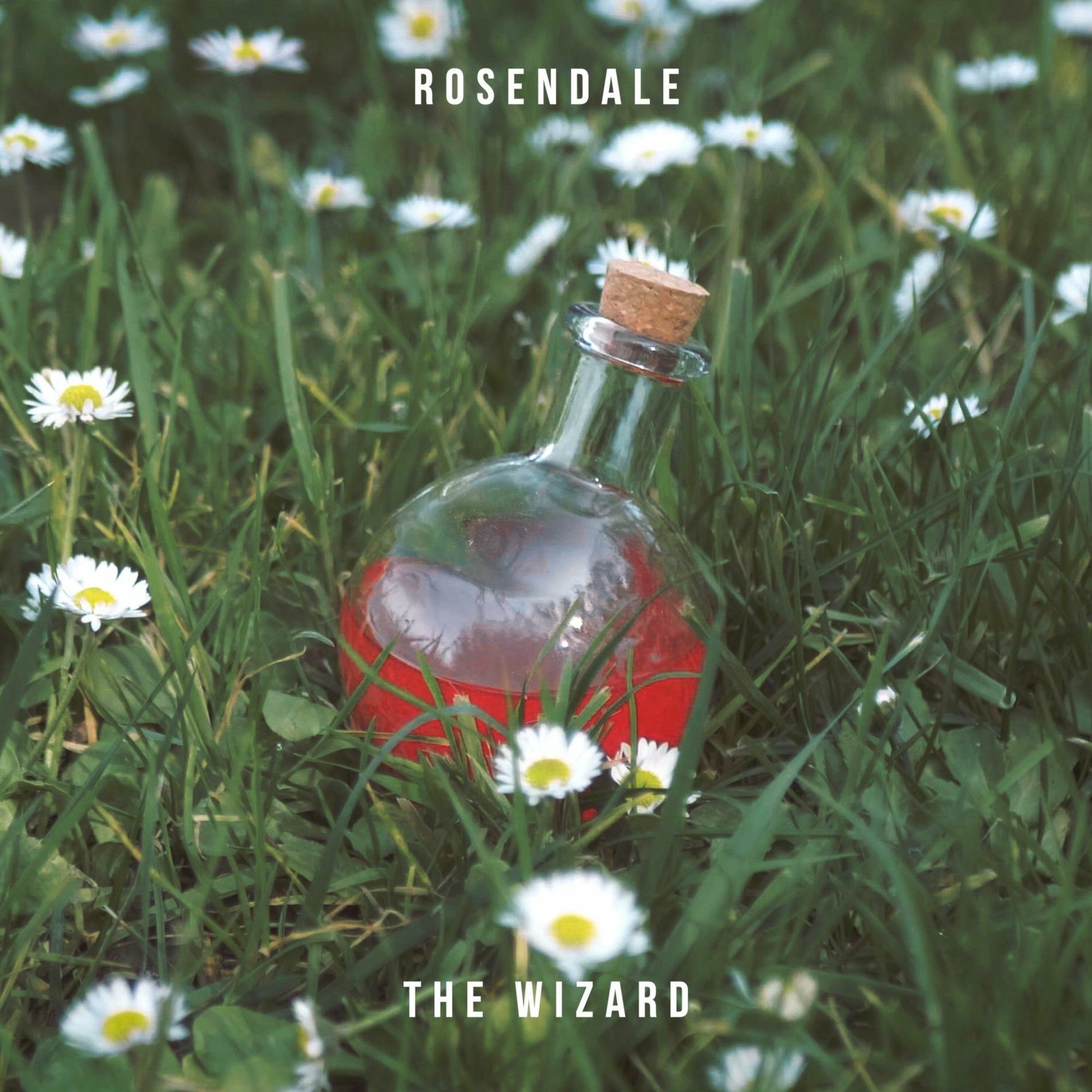 Album cover of The Wizard